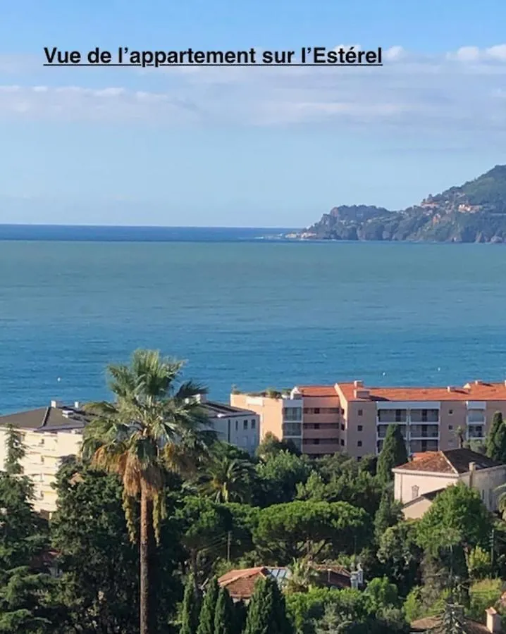칸느 Sea Views And Beautiful Pool 아파트 프랑스