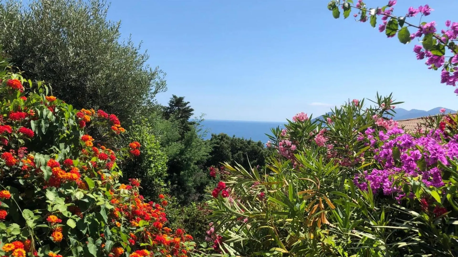 דירות קאן Sea Views And Beautiful Pool